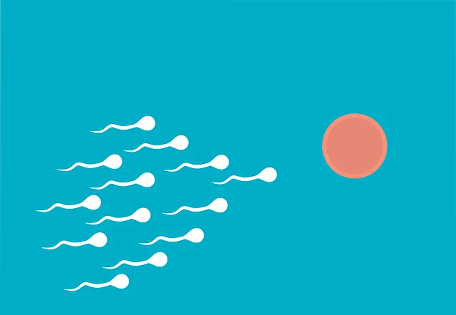 Sperm